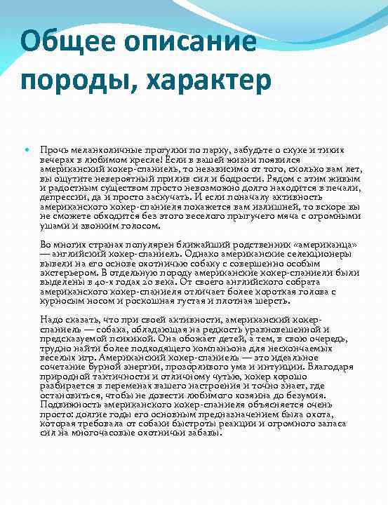 Общее описание породы, характер Прочь меланхоличные прогулки по парку, забудьте о скуке и тихих