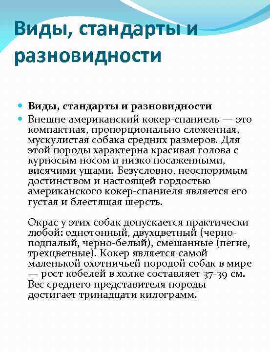 Виды, стандарты и разновидности Внешне американский кокер-спаниель — это компактная, пропорционально сложенная, мускулистая собака