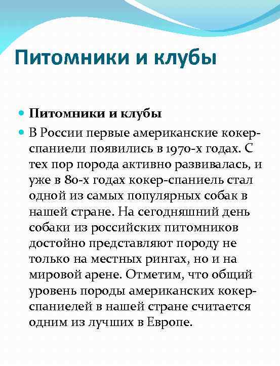 Питомники и клубы В России первые американские кокерспаниели появились в 1970 -х годах. С