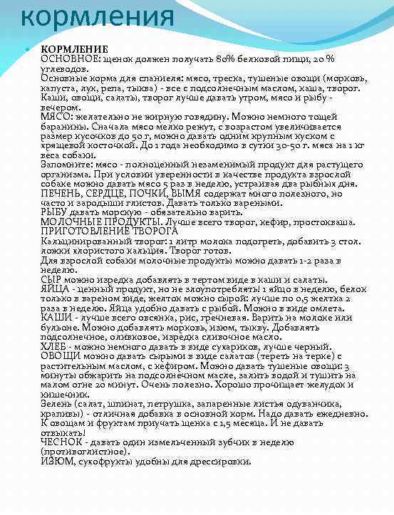кормления КОРМЛЕНИЕ ОСНОВНОЕ: щенок должен получать 80% белковой пищи, 20 % углеводов. Основные корма