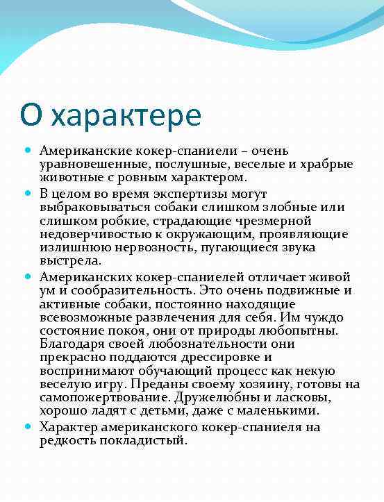 О характере Американские кокер-спаниели – очень уравновешенные, послушные, веселые и храбрые животные с ровным