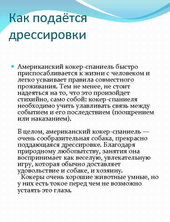 Как подаётся дрессировки Американский кокер-спаниель быстро приспосабливается к жизни с человеком и легко усваивает