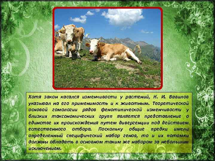 Хотя закон касался изменчивости у растений, Н. И. Вавилов указывал на его применимость и