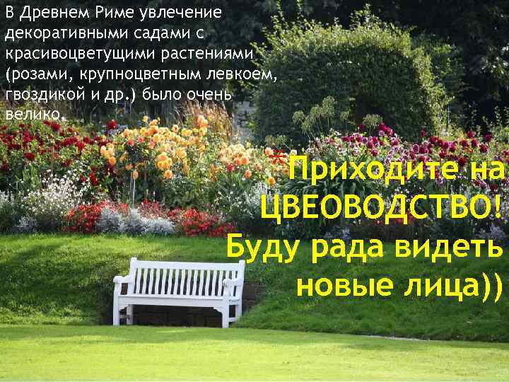 В Древнем Риме увлечение декоративными садами с красивоцветущими растениями (розами, крупноцветным левкоем, гвоздикой и