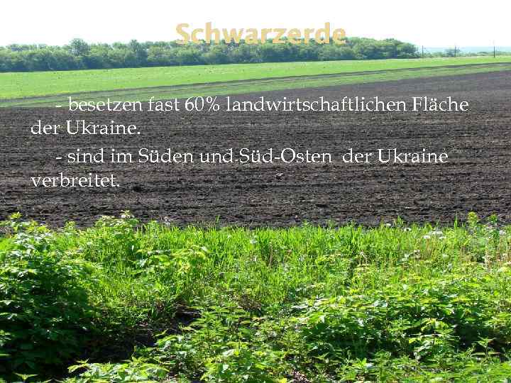 Schwarzerde - besetzen fast 60% landwirtschaftlichen Fläche der Ukraine. - sind im Süden und