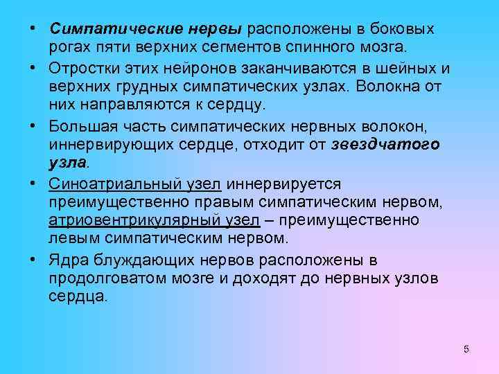  • Симпатические нервы расположены в боковых рогах пяти верхних сегментов спинного мозга. •