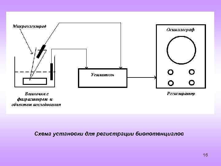 Схема установки для регистрации биопотенциалов 16 