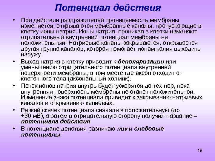 Потенциал действия • При действии раздражителей проницаемость мембраны изменяется, открываются мембранные каналы, пропускающие в