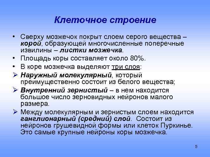 Клеточное строение • Сверху мозжечок покрыт слоем серого вещества – корой, образующей многочисленные поперечные