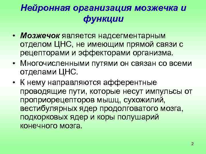 Нейронная организация мозжечка и функции • Мозжечок является надсегментарным отделом ЦНС, не имеющим прямой