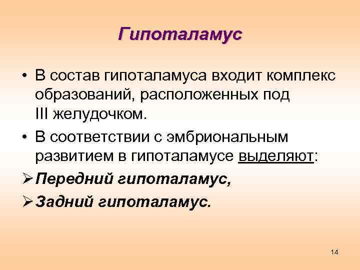 Гипоталамус • В состав гипоталамуса входит комплекс образований, расположенных под III желудочком. • В