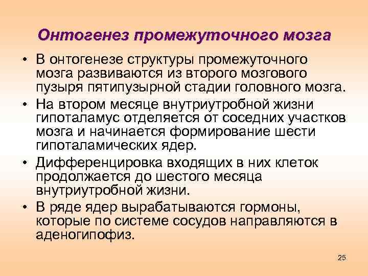 Онтогенез промежуточного мозга • В онтогенезе структуры промежуточного мозга развиваются из второго мозгового пузыря