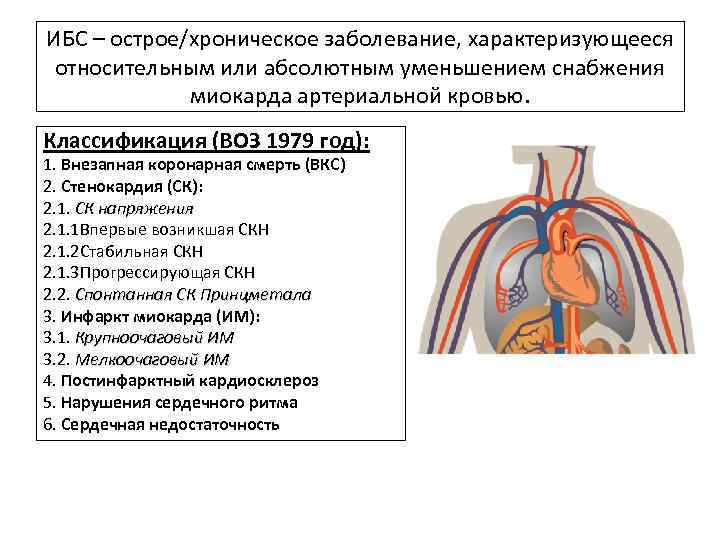 Какой процесс происходит в анатомическом образовании изображенном на рисунке освобождение