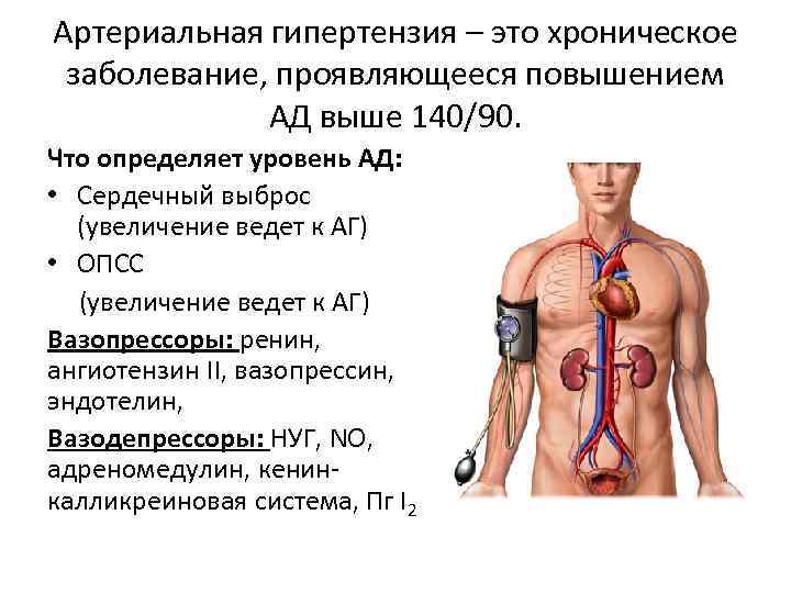 Сердечный выброс