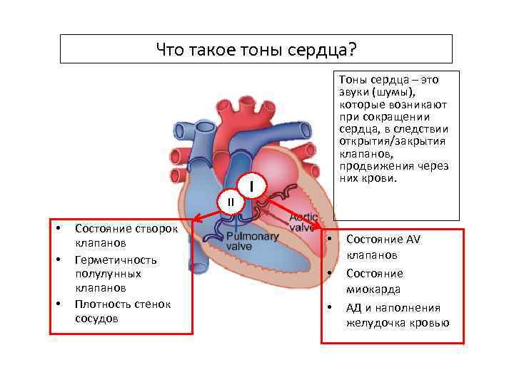 Неполное закрытие клапана сердца