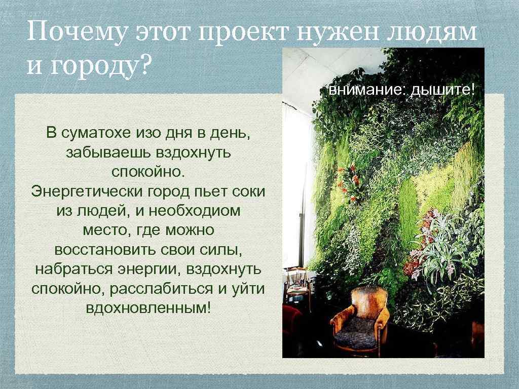 Почему этот проект нужен людям и городу? внимание: дышите! В суматохе изо дня в