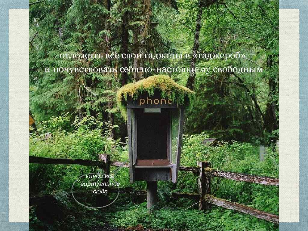 отложить все свои гаджеты в «гаджероб» и почувствовать себя по-настоящему свободным клади все виртуальное