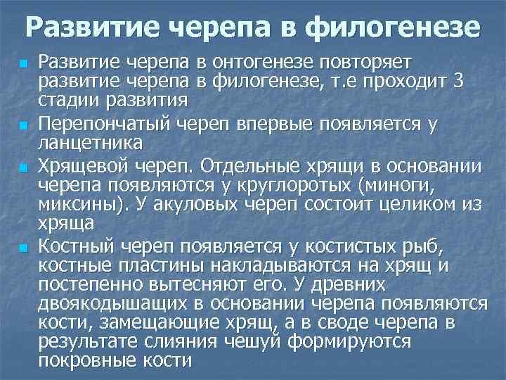 Развитие черепа в филогенезе n n Развитие черепа в онтогенезе повторяет развитие черепа в