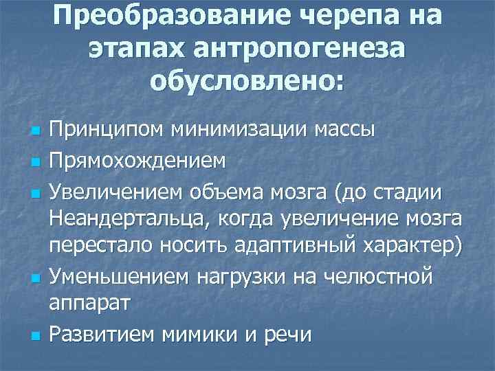 Преобразование черепа на этапах антропогенеза обусловлено: n n n Принципом минимизации массы Прямохождением Увеличением