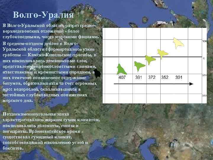 Волго-Уралия В Волго-Уральской области, разрез средневерхнедевонских отложений - более глубоководными, чисто морскими фациями. В