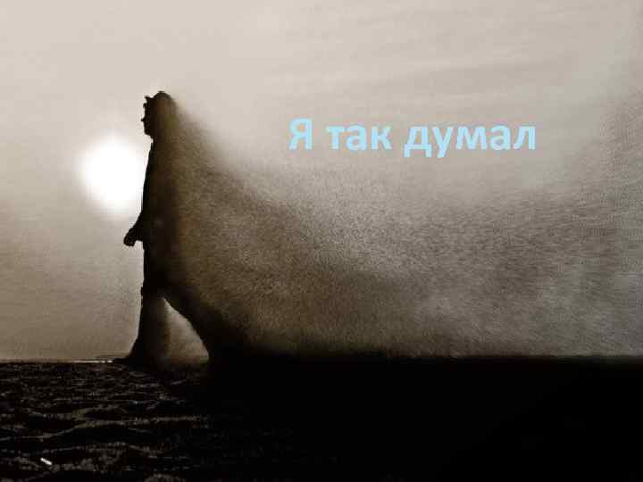 Я так думал 