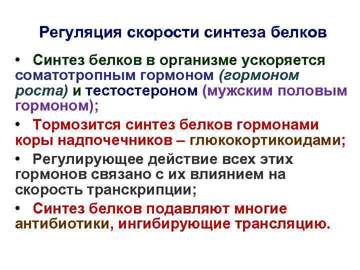 Регуляция скорости синтеза белков • Синтез белков в организме ускоряется соматотропным гормоном (гормоном роста)