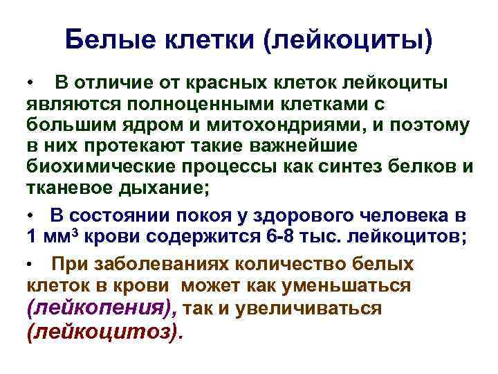 Белые клетки (лейкоциты) • В отличие от красных клеток лейкоциты являются полноценными клетками с
