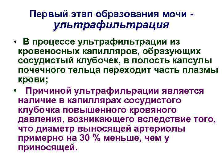 Первый этап образования мочи - ультрафильтрация • В процессе ультрафильтрации из кровеносных капилляров, образующих