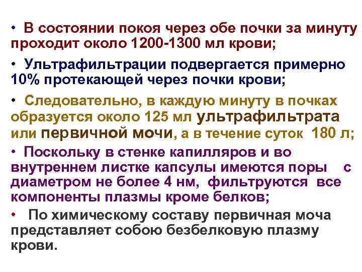  • В состоянии покоя через обе почки за минуту проходит около 1200 -1300