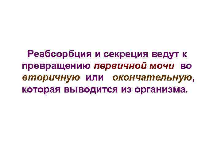 Реабсорбция и секреция ведут к превращению первичной мочи во вторичную или окончательную, которая выводится