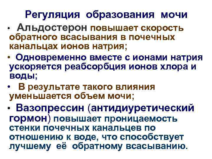  • Регуляция образования мочи Альдостерон повышает скорость обратного всасывания в почечных канальцах ионов