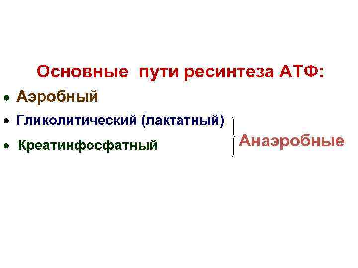 Основные пути ресинтеза АТФ: Аэробный Гликолитический (лактатный) Креатинфосфатный Анаэробные 