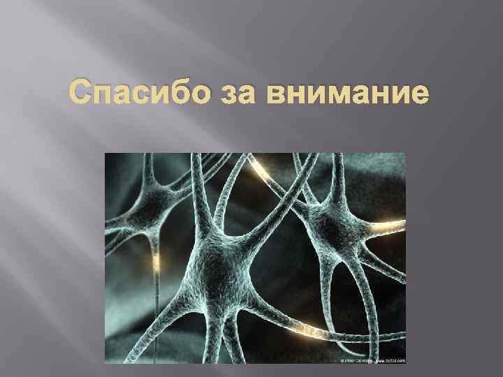 Спасибо за внимание 