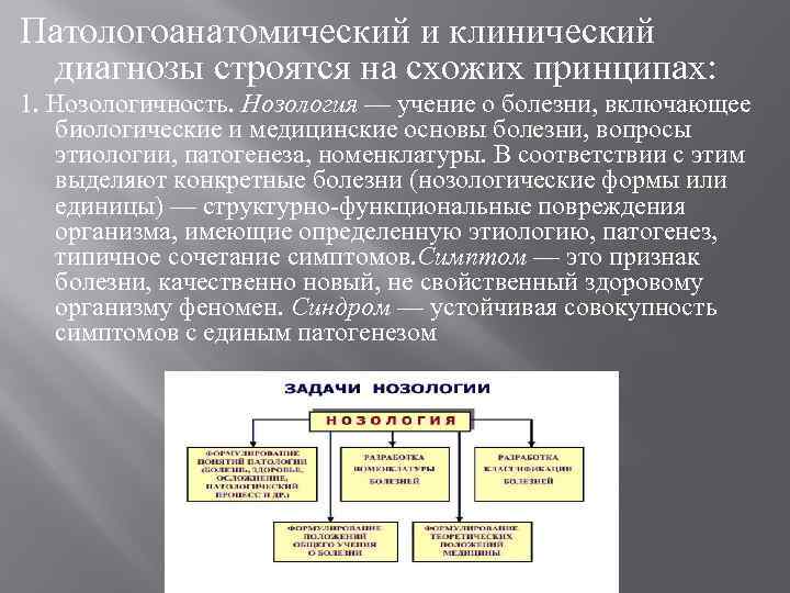 Патологоанатомический и клинический диагнозы строятся на схожих принципах: 1. Нозологичность. Нозология — учение о