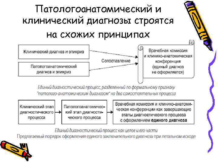 Патологоанатомический и клинический диагнозы строятся на схожих принципах 