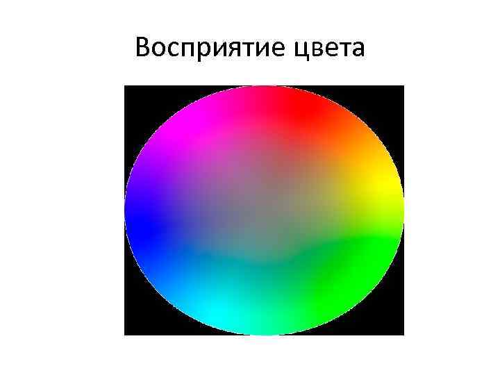 Восприятие цвета 