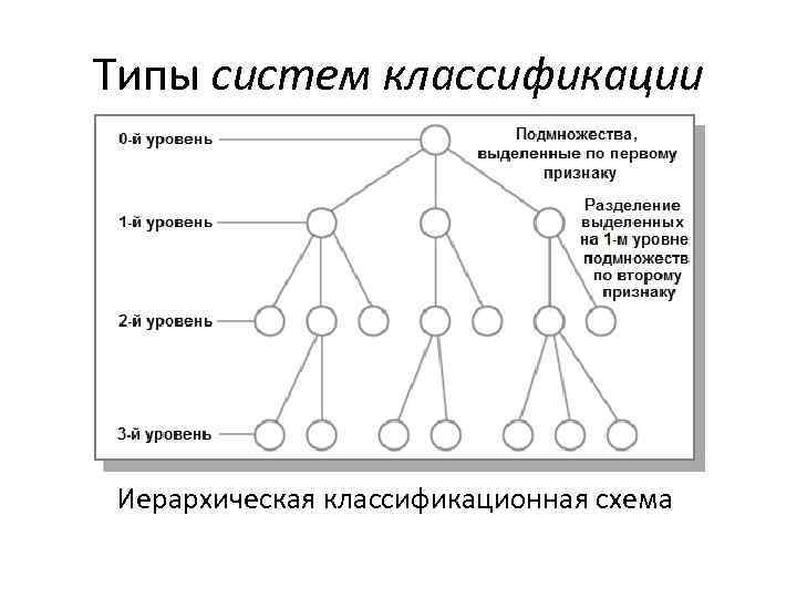 Типы систем классификации Иерархическая классификационная схема 