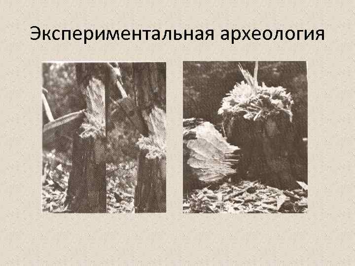 Экспериментальная археология 