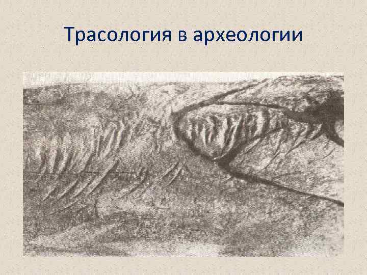 Трасология в археологии 