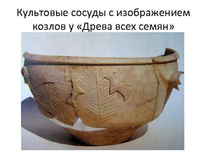 Культовые сосуды с изображением козлов у «Древа всех семян» 