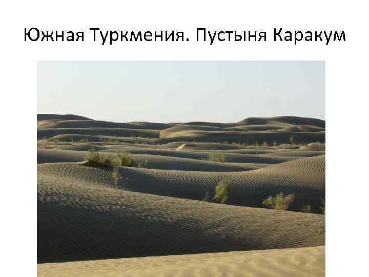 Южная Туркмения. Пустыня Каракум 