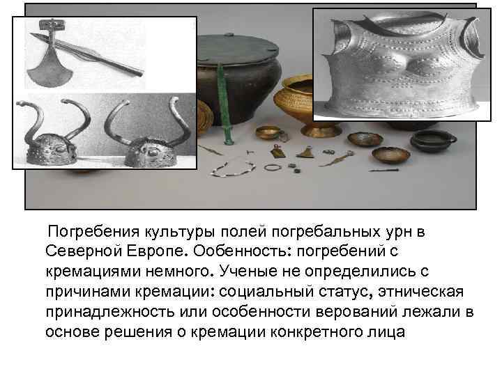 Погребения культуры полей погребальных урн в Северной Европе. Ообенность: погребений с кремациями немного. Ученые