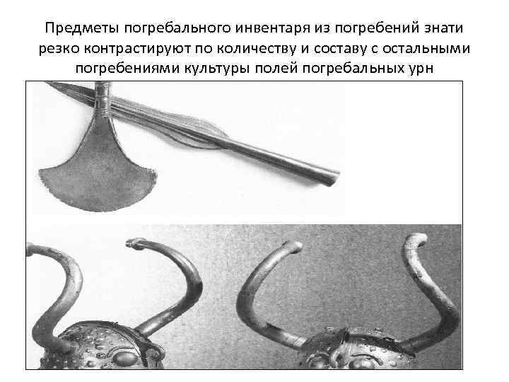 Предметы погребального инвентаря из погребений знати резко контрастируют по количеству и составу с остальными