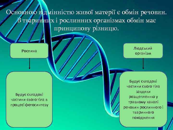 Основною відмінністю живої матерії є обмін речовин. В тваринних і рослинних організмах обмін має