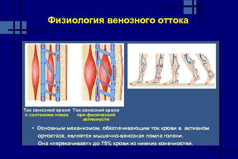 Нарушение венозного оттока