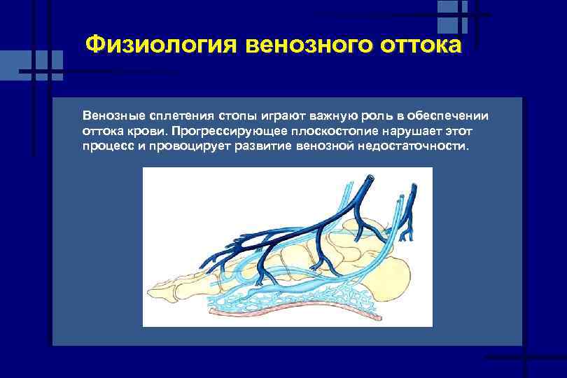 Венозная дисгемия по позвоночным сплетениям