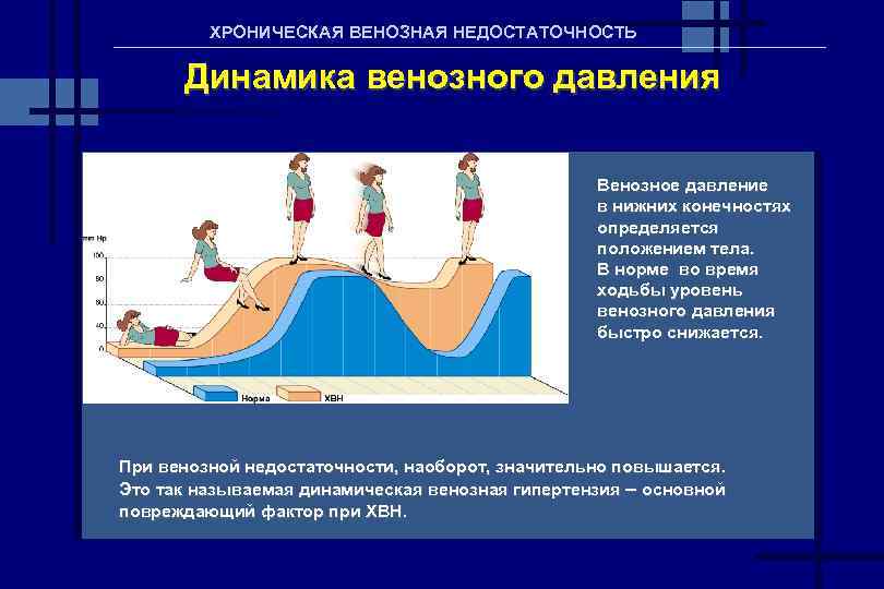 Факторы способствующие венозному кровотоку