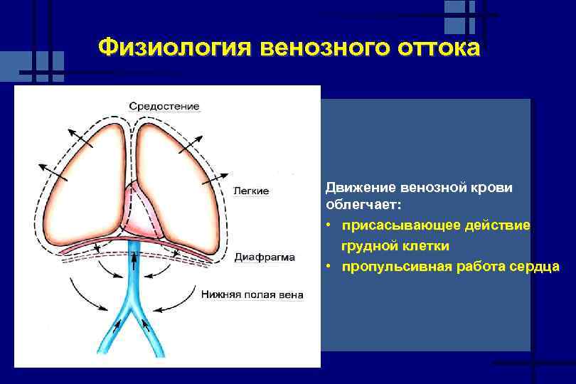 Нарушен венозный отток в голове