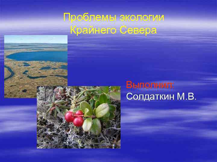 Проблемы экологии Крайнего Севера Выполнил: Солдаткин М. В. 