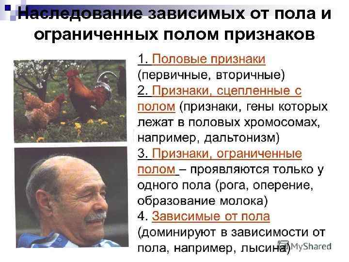 Наследование зависимых от пола и ограниченных полом признаков 